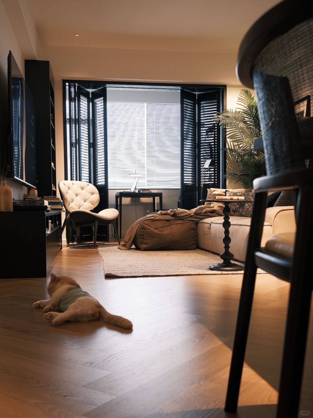 超棒的装修决定|🏠靠这个，省下好几万！