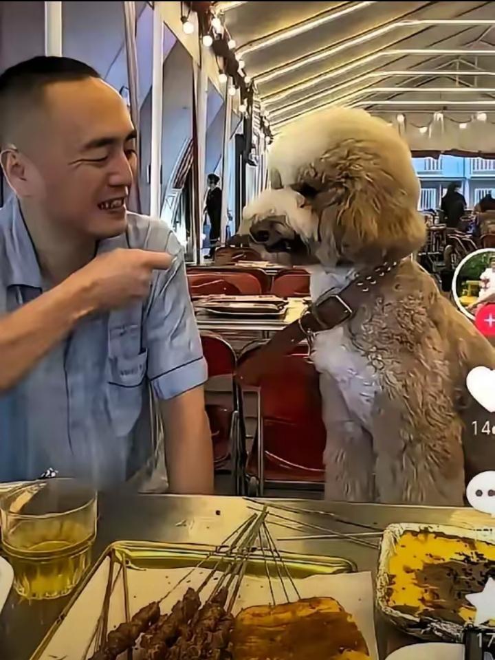 见过作死的，没见过这么作死的!这老登现在全国出名了，不是啥光彩事，是臭名远扬--