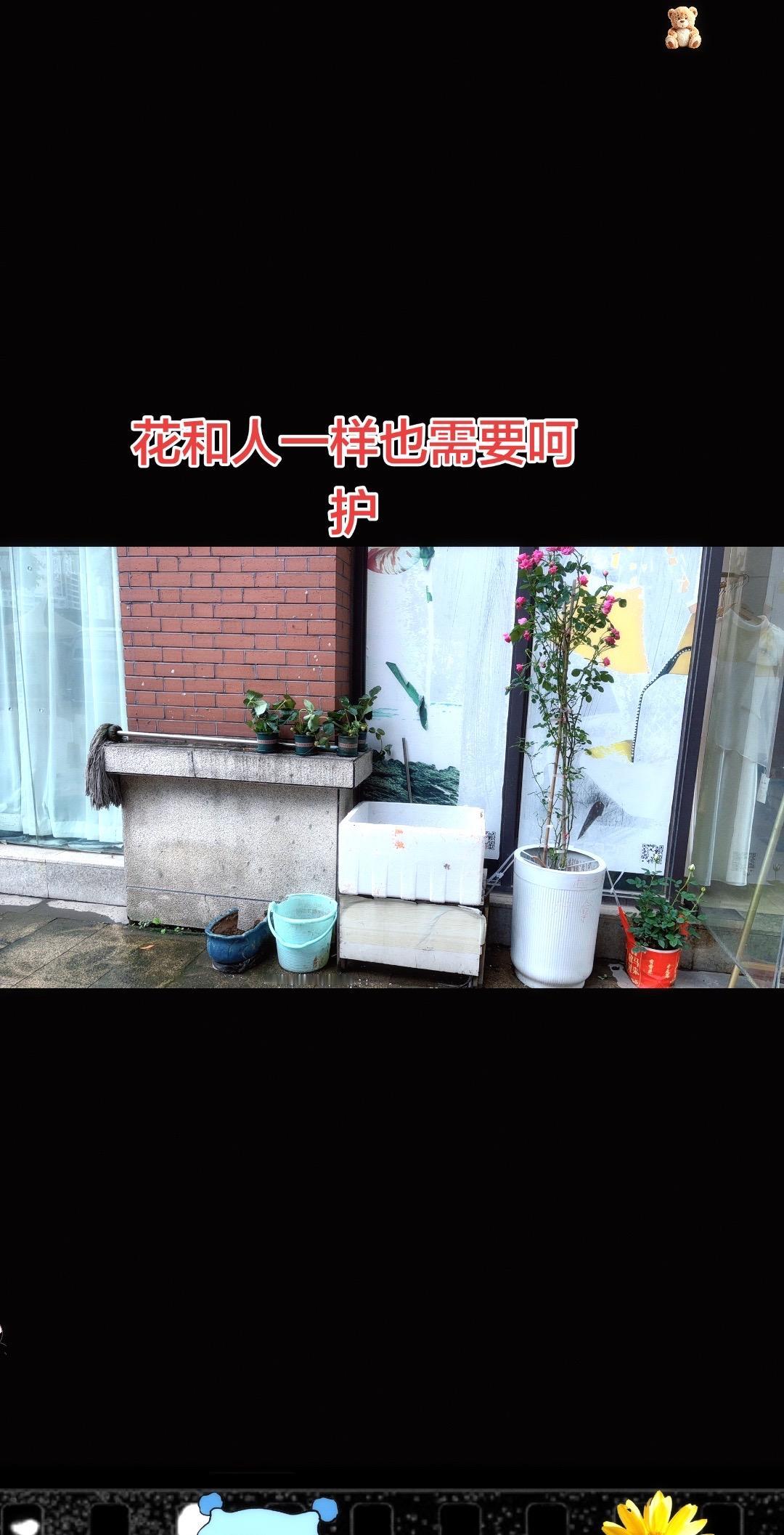 心情养花工作日常