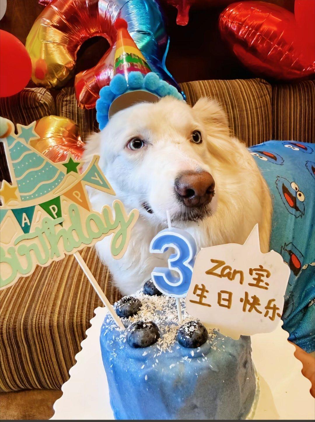 啊 zan宝发🎶了 ​​​