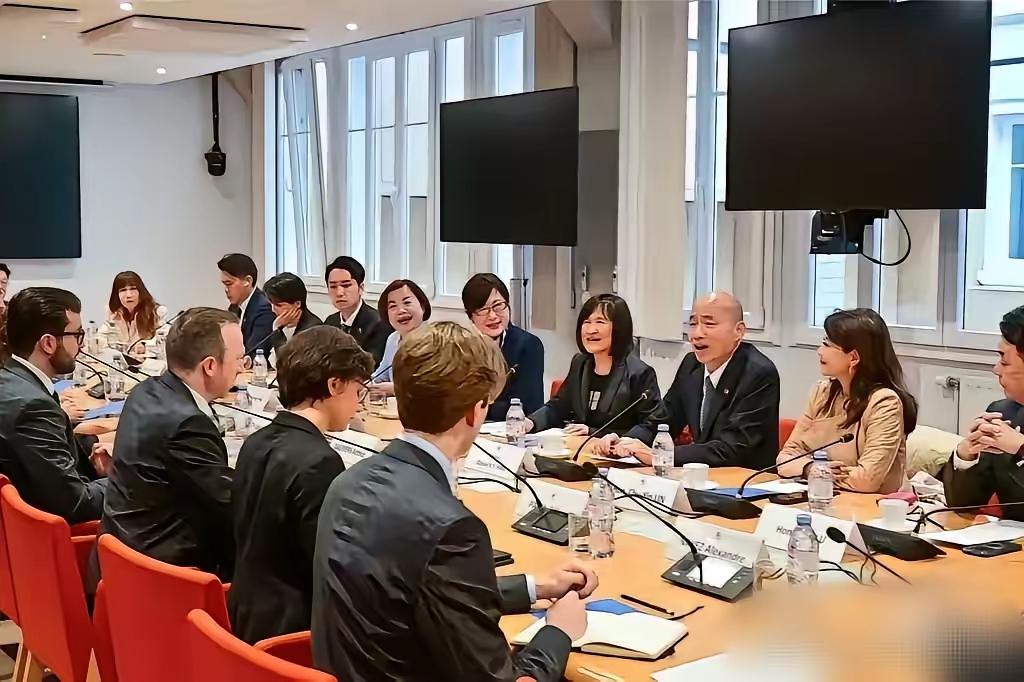韩国瑜在法国公然谋独，嘴脸比民进党更虚伪！

​​当地时间5月11日，台“立法院