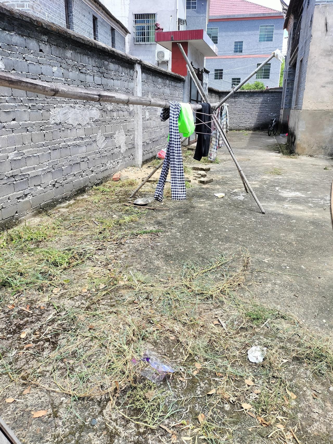 院子里长满了草，今天才有时间拔掉，没有谁知道我有多忙，今天上午总算有时间清理了，