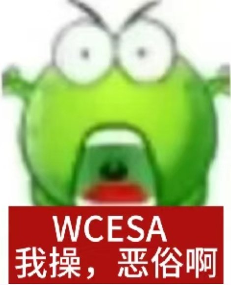 as/a的sa是wcesa的sa 