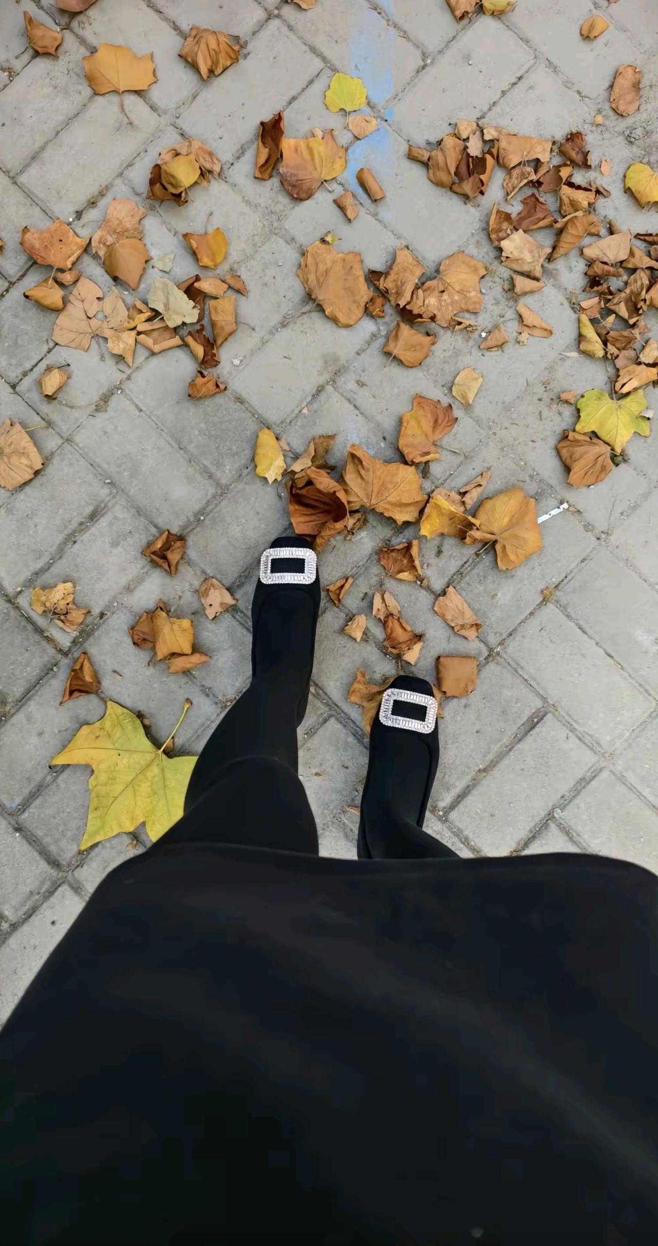 秋天，是一年中最富有诗意的季节。它不似春的娇嫩，不似夏的奔放，也不似冬的凛冽，它