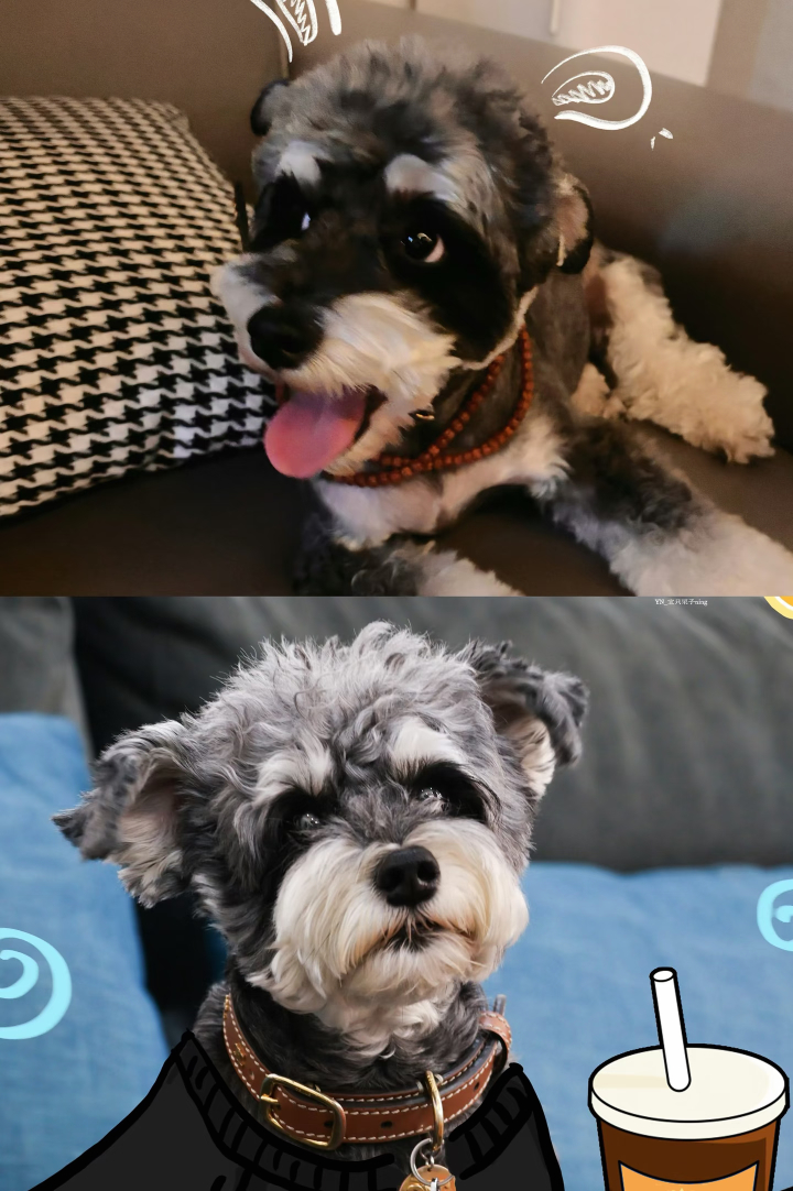 刘呆米 是被哥哥的爱❤️狠狠包围最可爱的刘呆米 