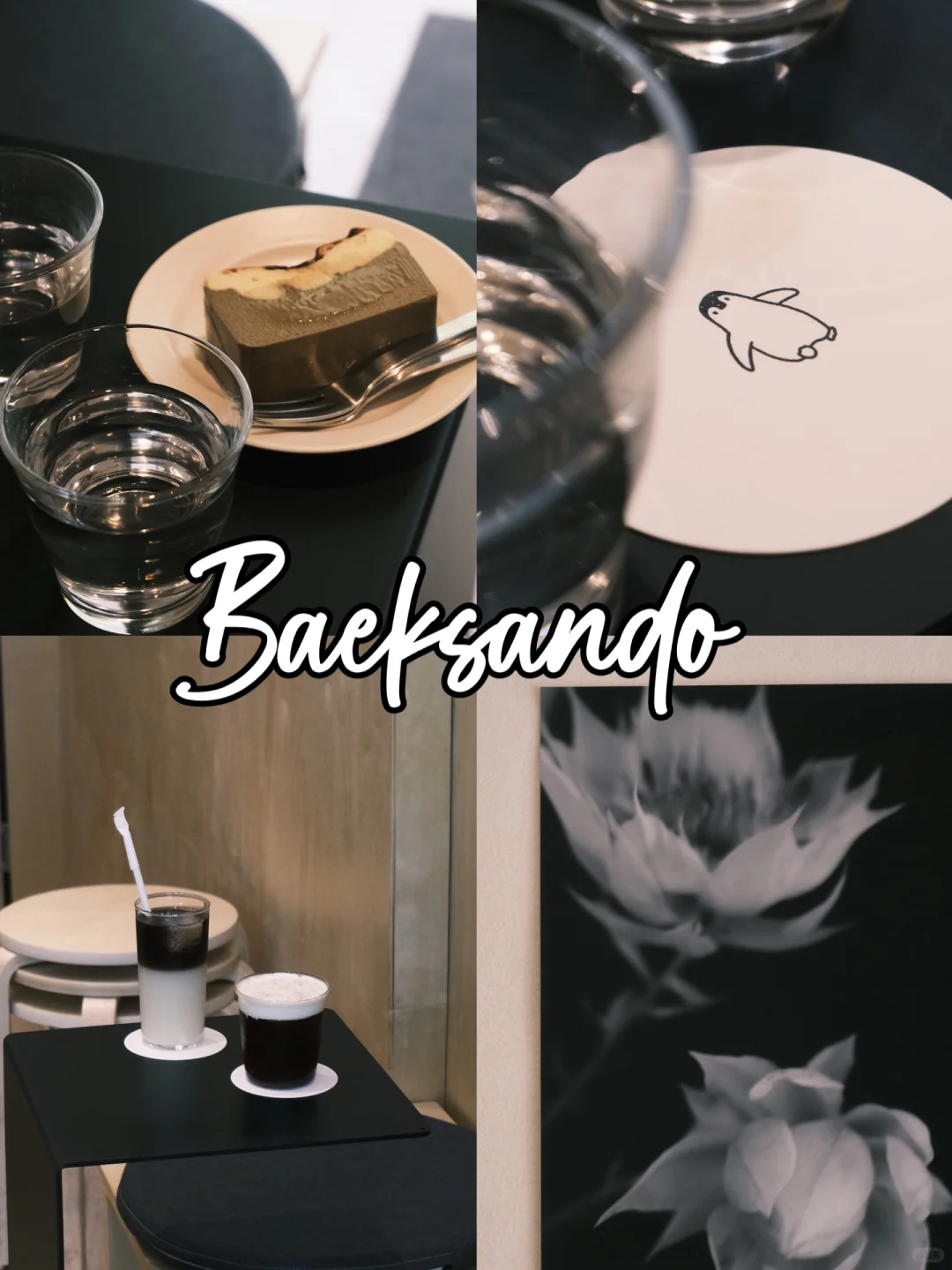 无锡｜白山岛🐧太适合拍胶片了🎞️