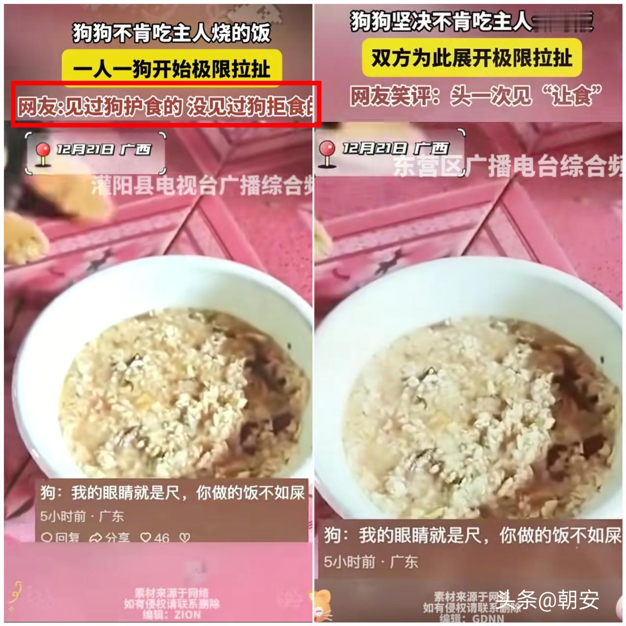 笑不活了！

广西这只狗狗直接上演反向名场面，彻底颠覆大家对狗子的刻板印象。
