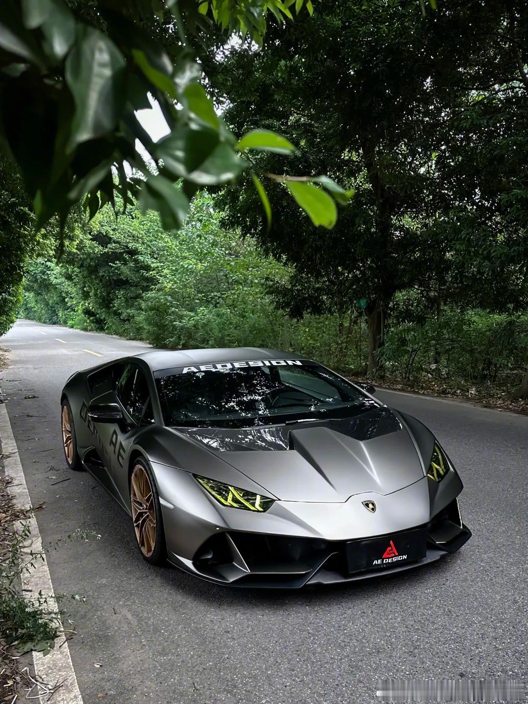 这位帅哥，躲在树荫里我们就发现不了你了吗？