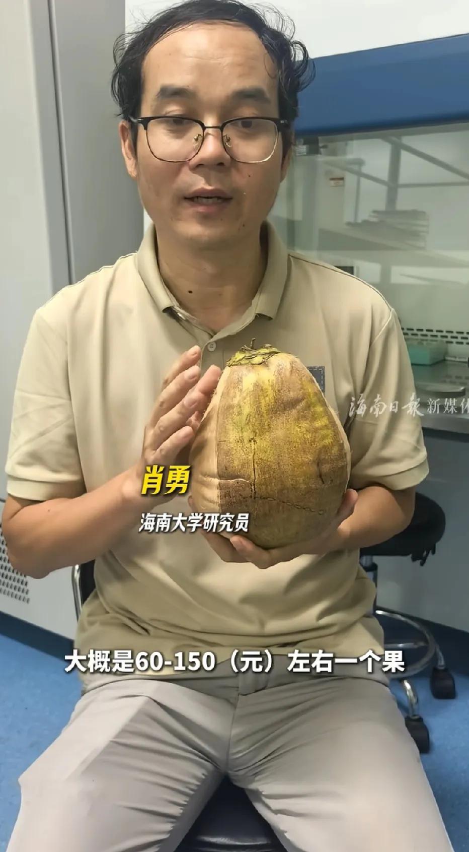 海南大学攻克了育苗的难关！你想吃吗？这种椰子国内市场价格目前大概是60到150元