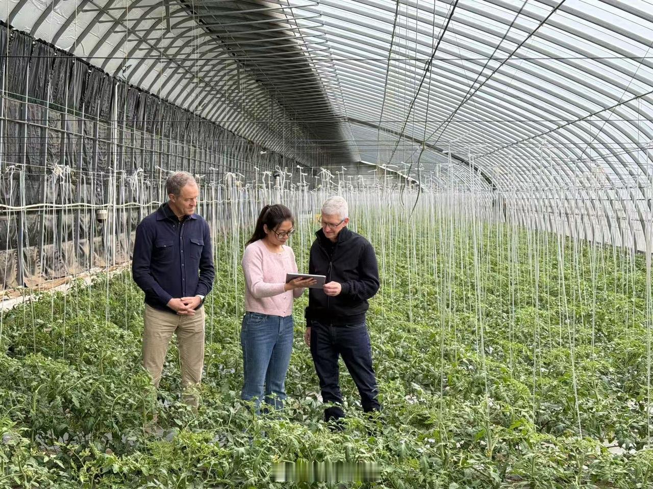 大家发现没？库克的情商越来越像马斯克了！不仅频繁光顾中国，在中国的人气也越来越高