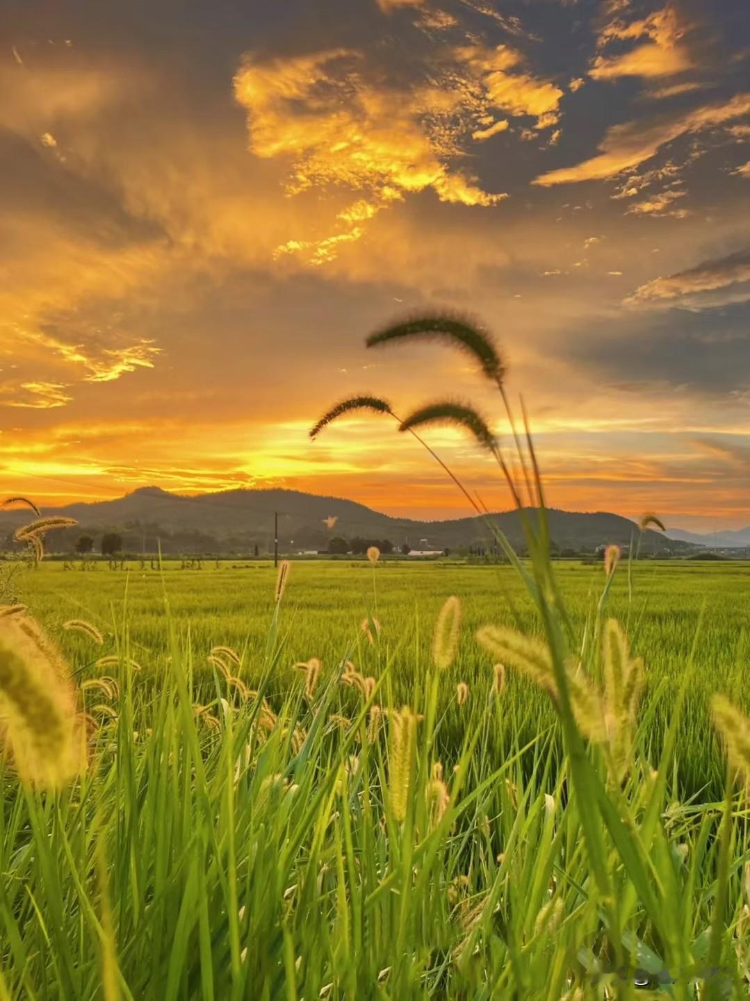 又来对对联喽！
每天都来对对联，
开心快乐哟！

[微风][玫瑰]<<原创>>[