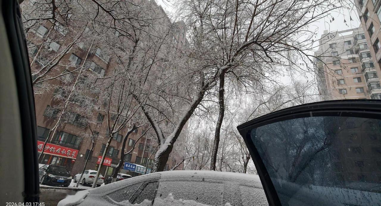 对啊，哈尔滨四月份下雪，咋了？哈尔滨 下雪了