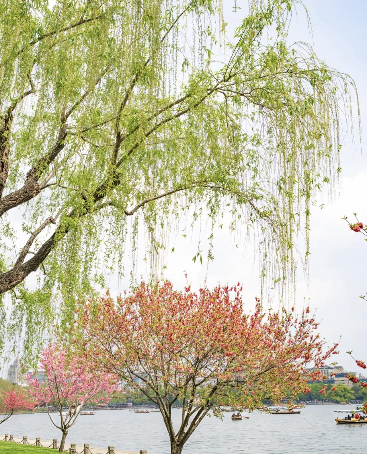 旅行随手拍去公园里玩，随手拍了一张