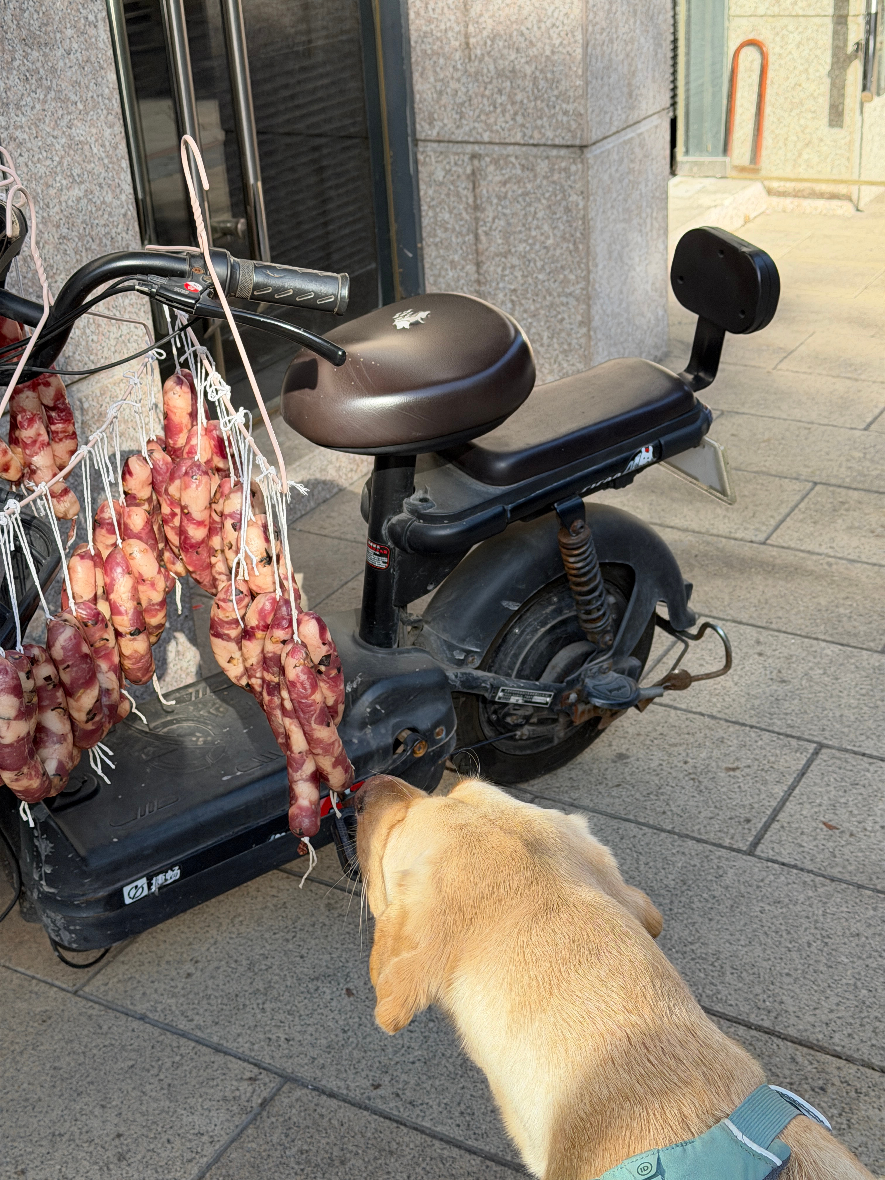 人生路上我们往往会遇到很多的诱惑这个时候，就要跟欲望作斗争要是一下没把持住，被诱