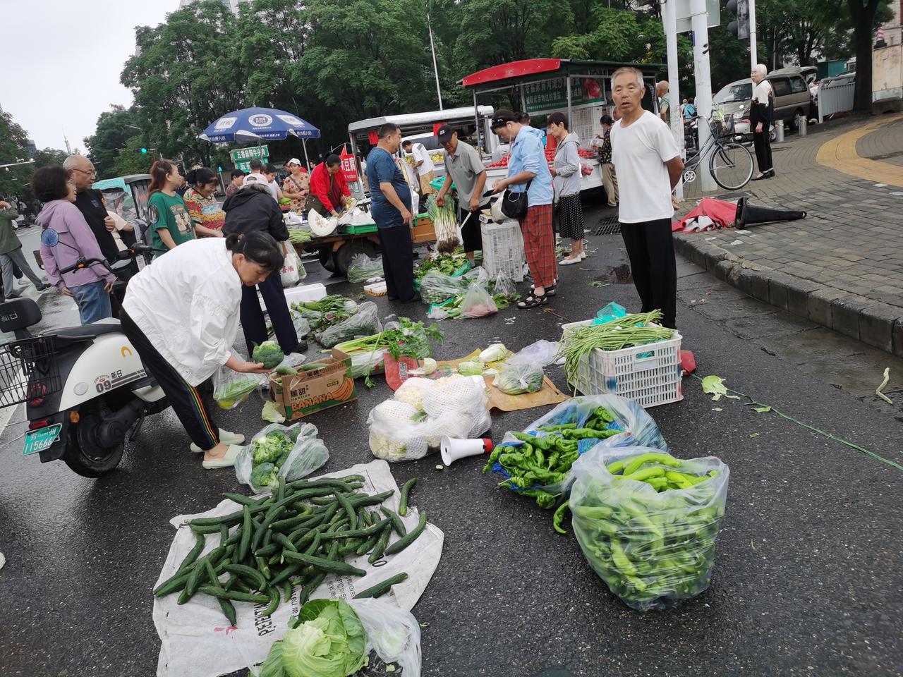看看郑州早市上的菜价

今天早上去郑密路淮河路桥头上买菜，
这里老农民来卖的菜特