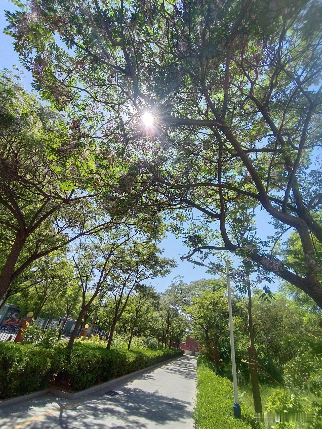 世上确有无缘无故的恨与爱。这样的恨与爱便是以他人之恨为恨，以他人之爱为爱。更关键
