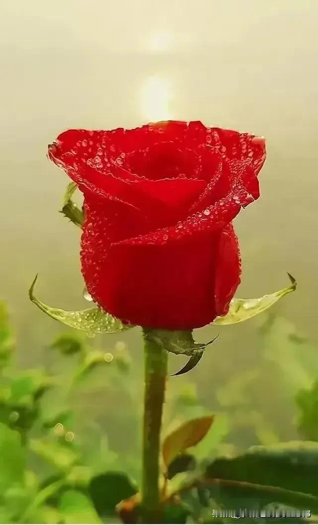 未婚同居是时代进步还是妇女解放? 未婚同居这事儿，说是时代进步和妇女解放，还真不