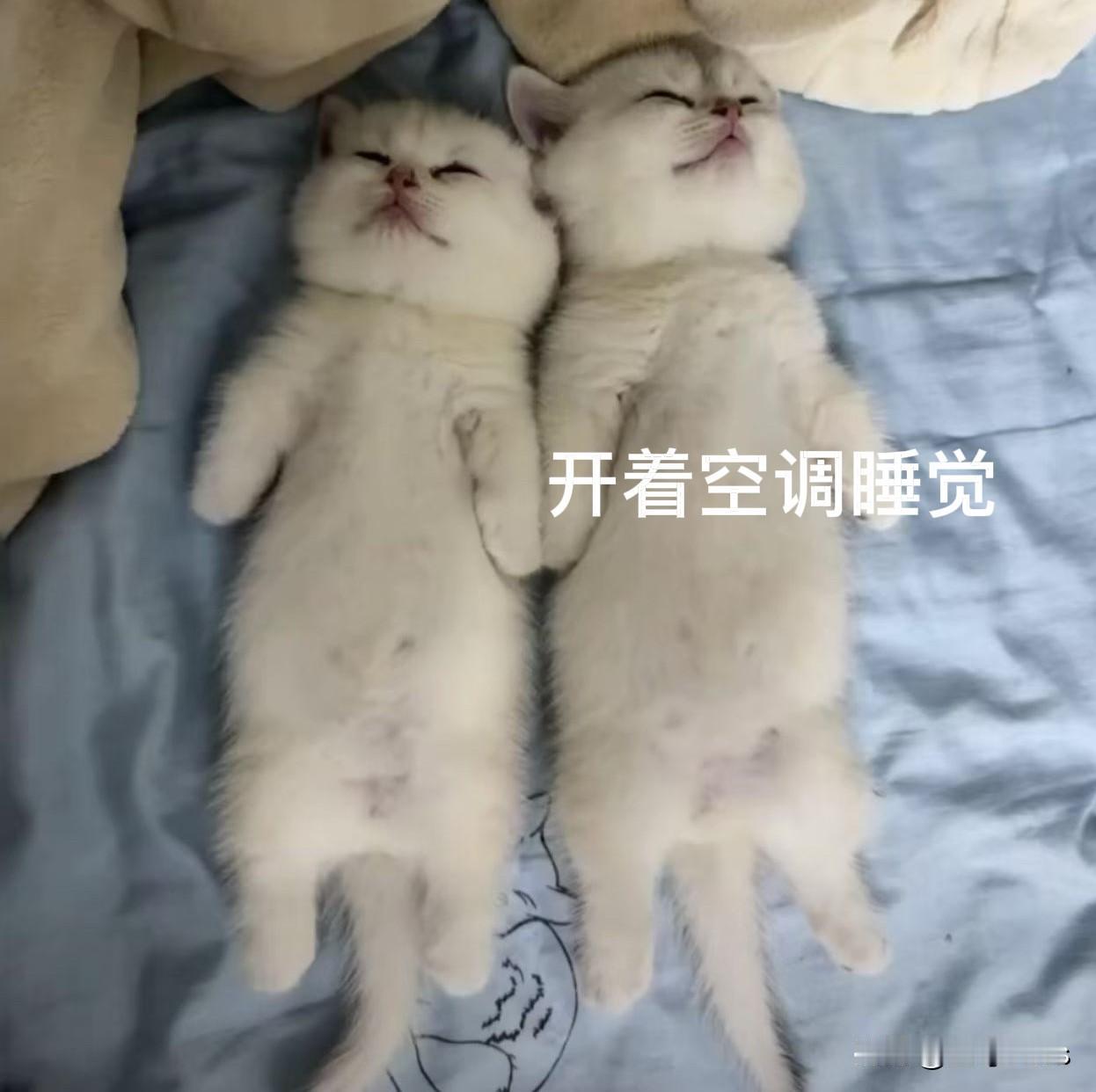 今天全国人民都在关心广东怎么样啦？

其实今天我们如下图…………(坐标广州)