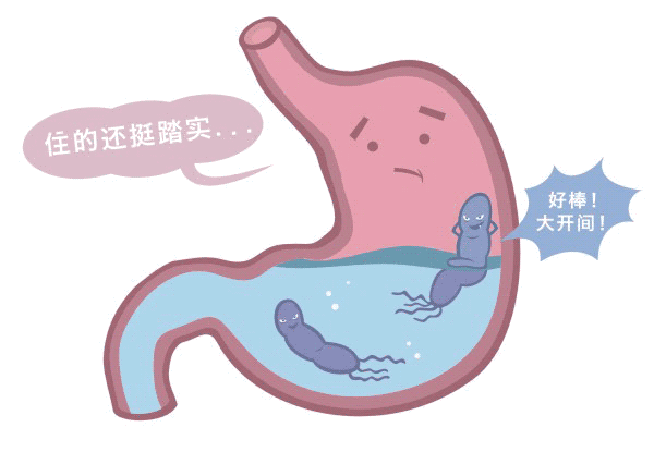 脾胃好不好，大便有信号

在日常生活中，大便的形态和颜色往往能反映出脾胃的健康状