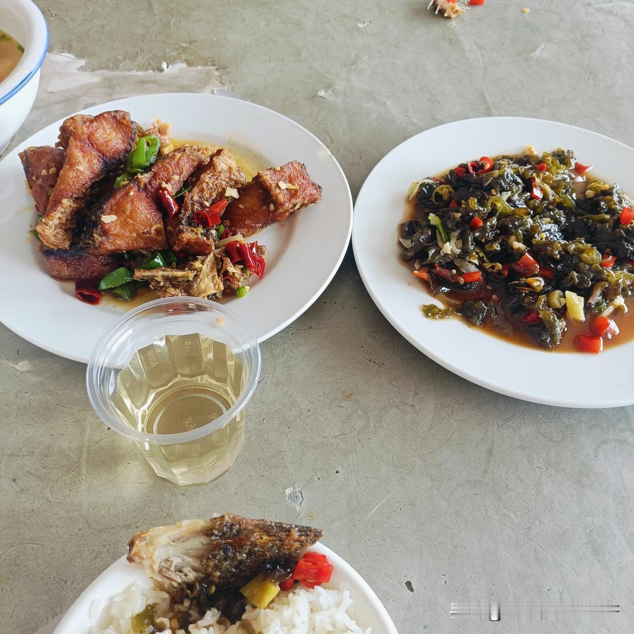 中餐：一份油炸鱼块15元，一份雷公菌15元，两个人吃，公司规定餐，每人15元。