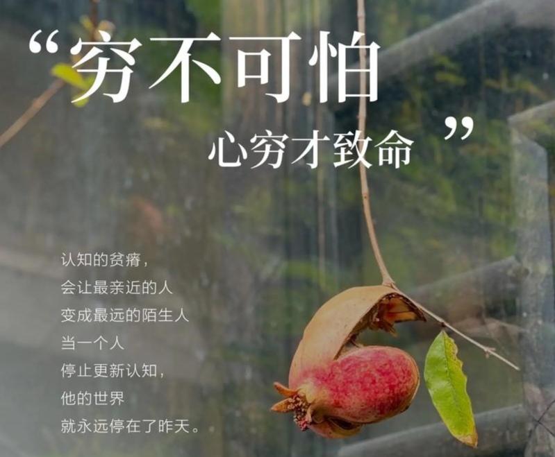 贫穷与愚昧常如影随形，但若论何者更让人扼腕，我选愚昧。

贫穷不过是物质上的寒冷