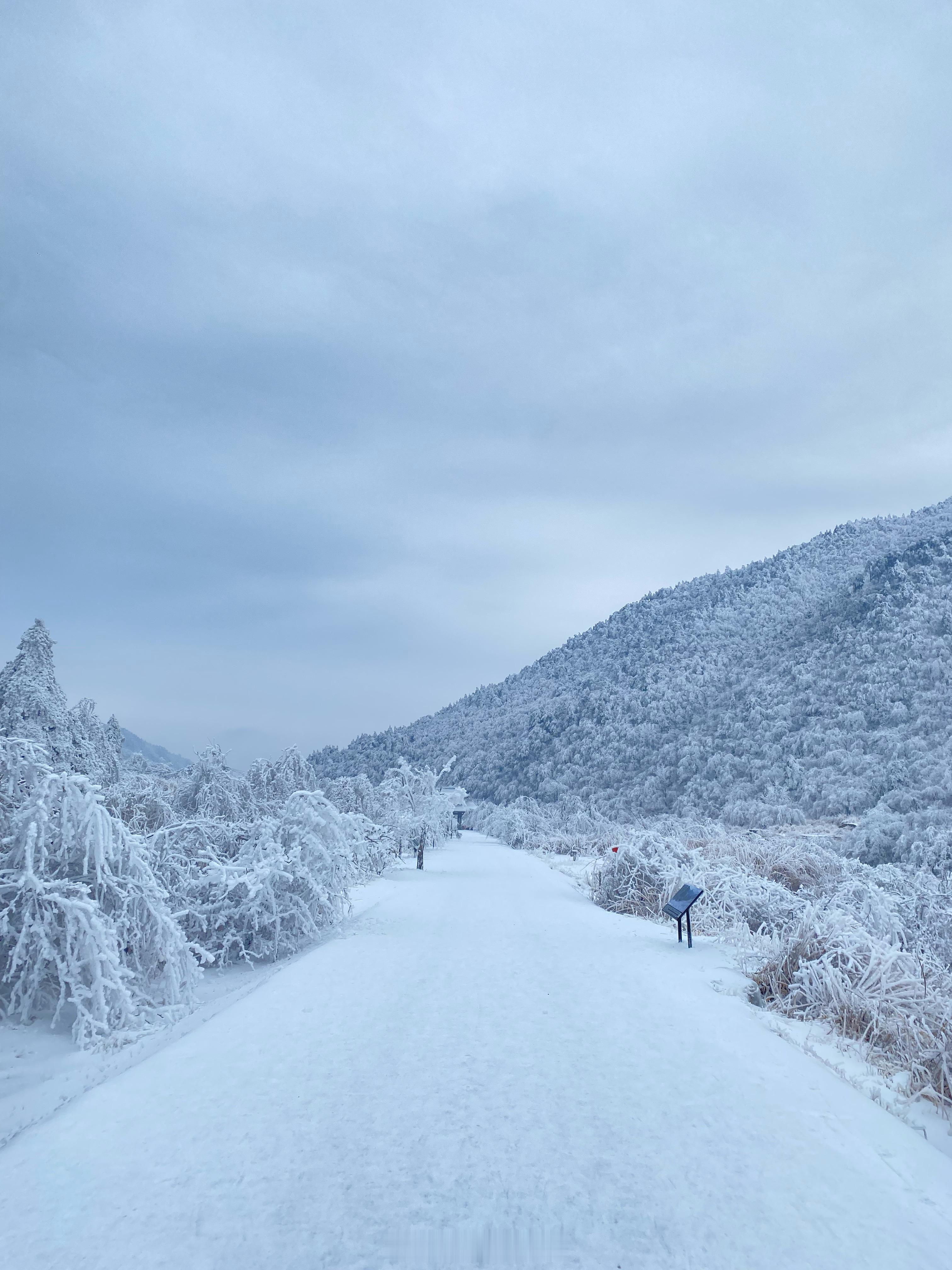 两个倒霉蛋二次元勇闯雪山！！！ ​​​
