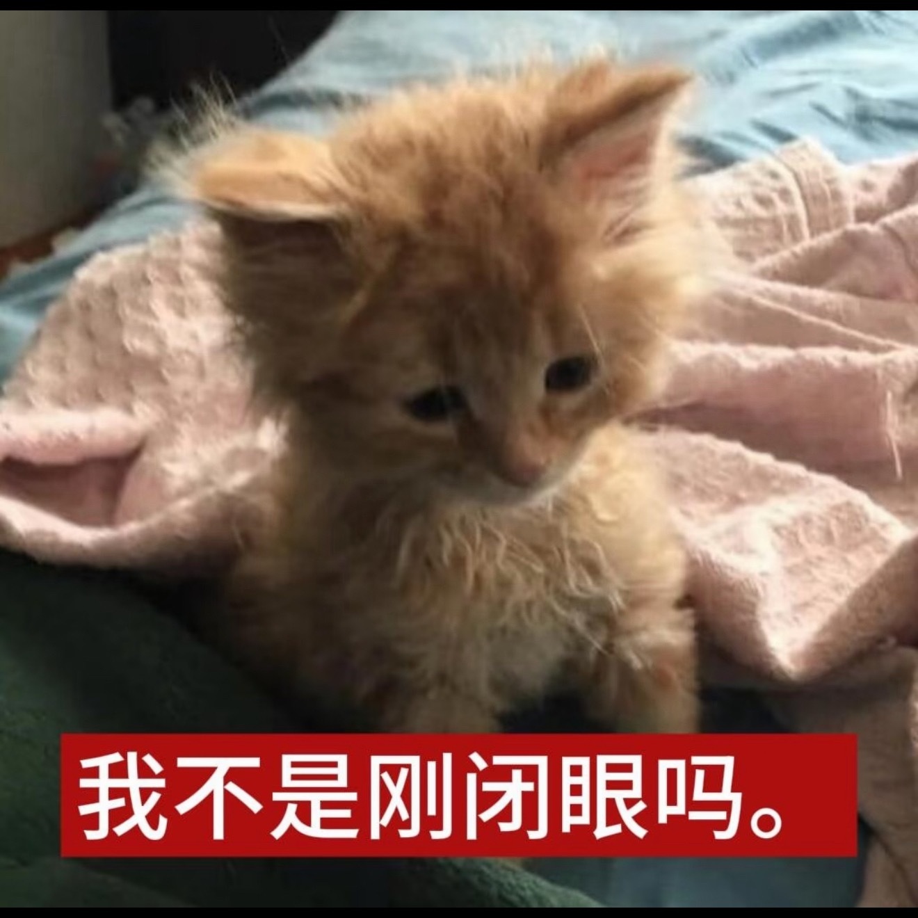 还以为五六点醒是身体出问题了，老师，那我们这种天天都睡不醒的是咋回事啊… 