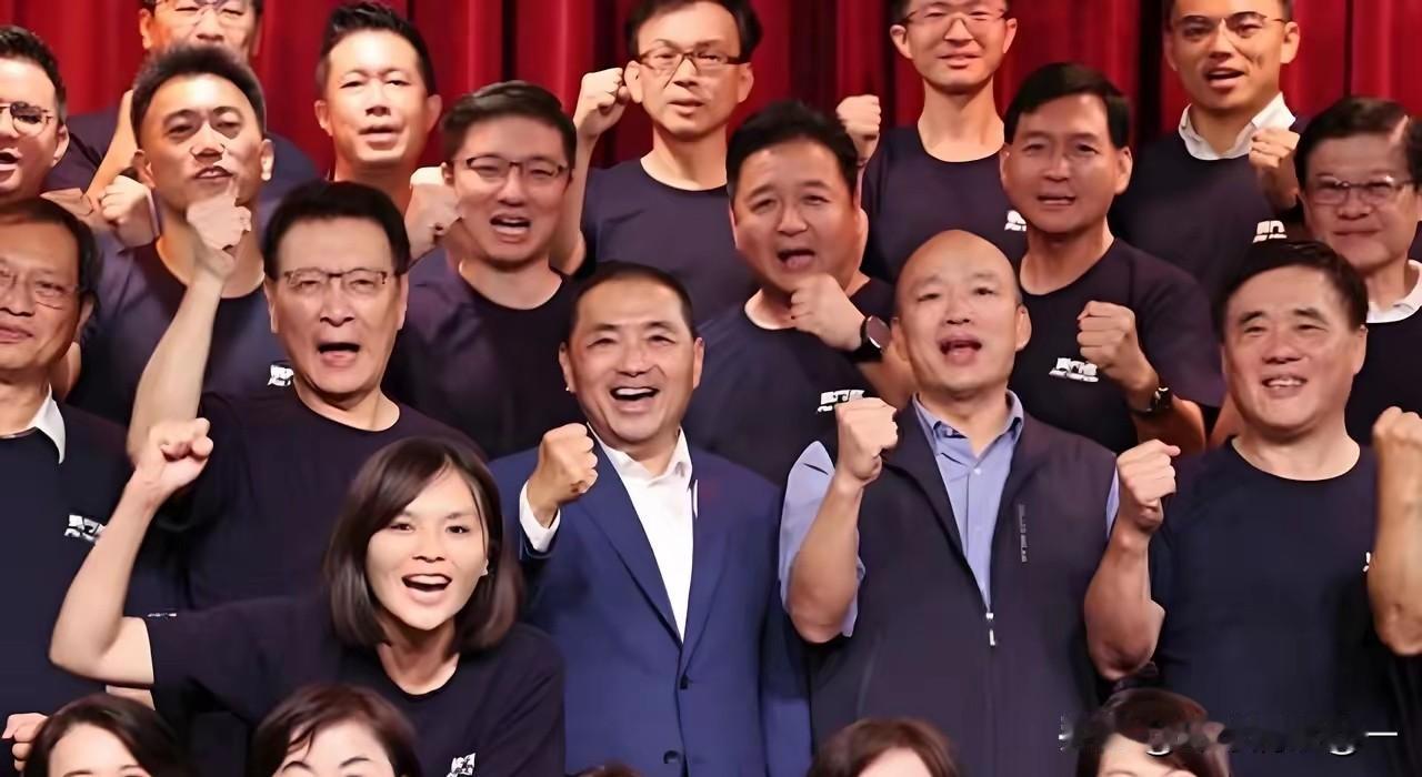 说真的，现在的国民党，就像一个班子散了架的团队，看着郑丽文一个人在前面扛着，后面
