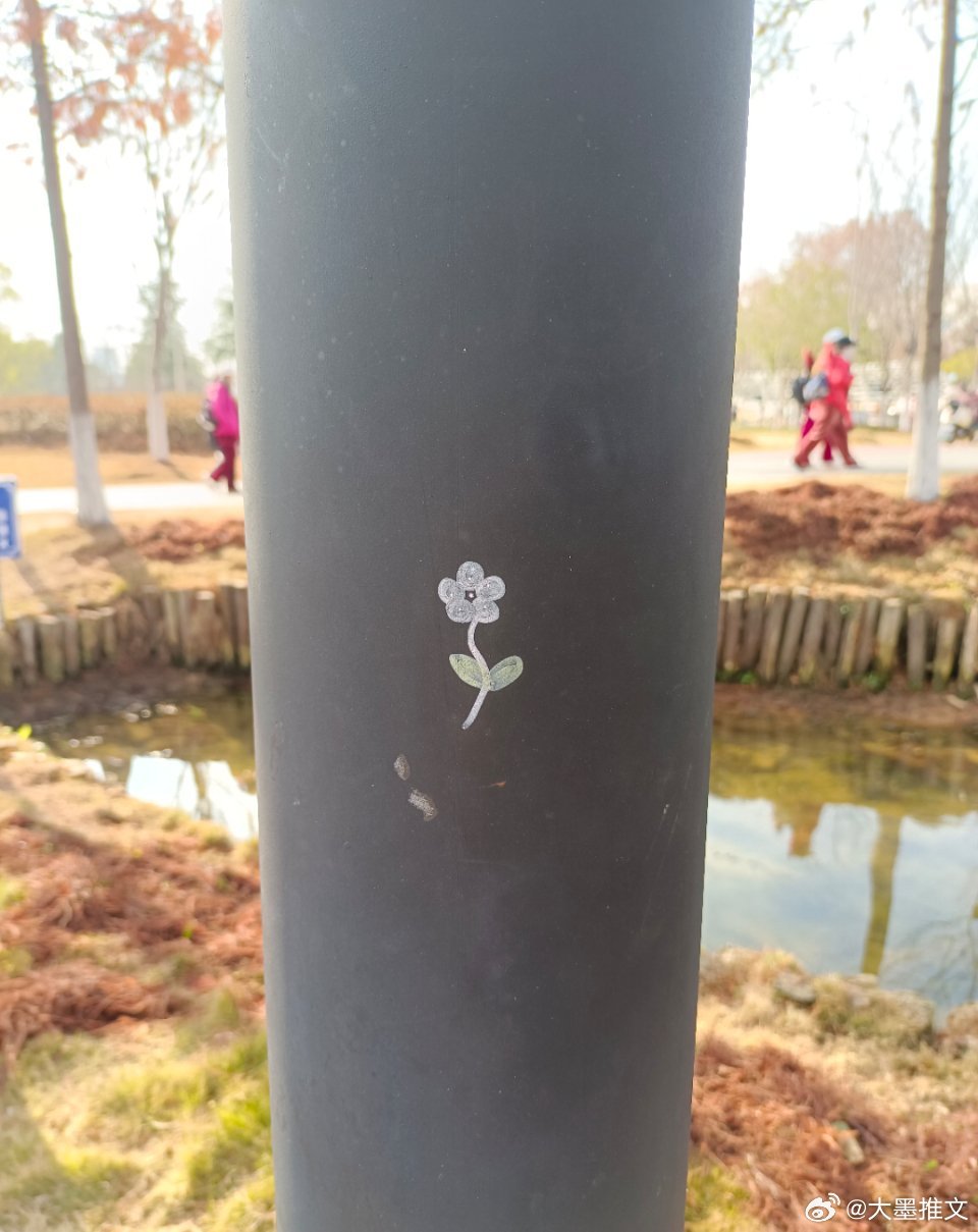 生活需要一些小玩意来治愈，送你一朵小花