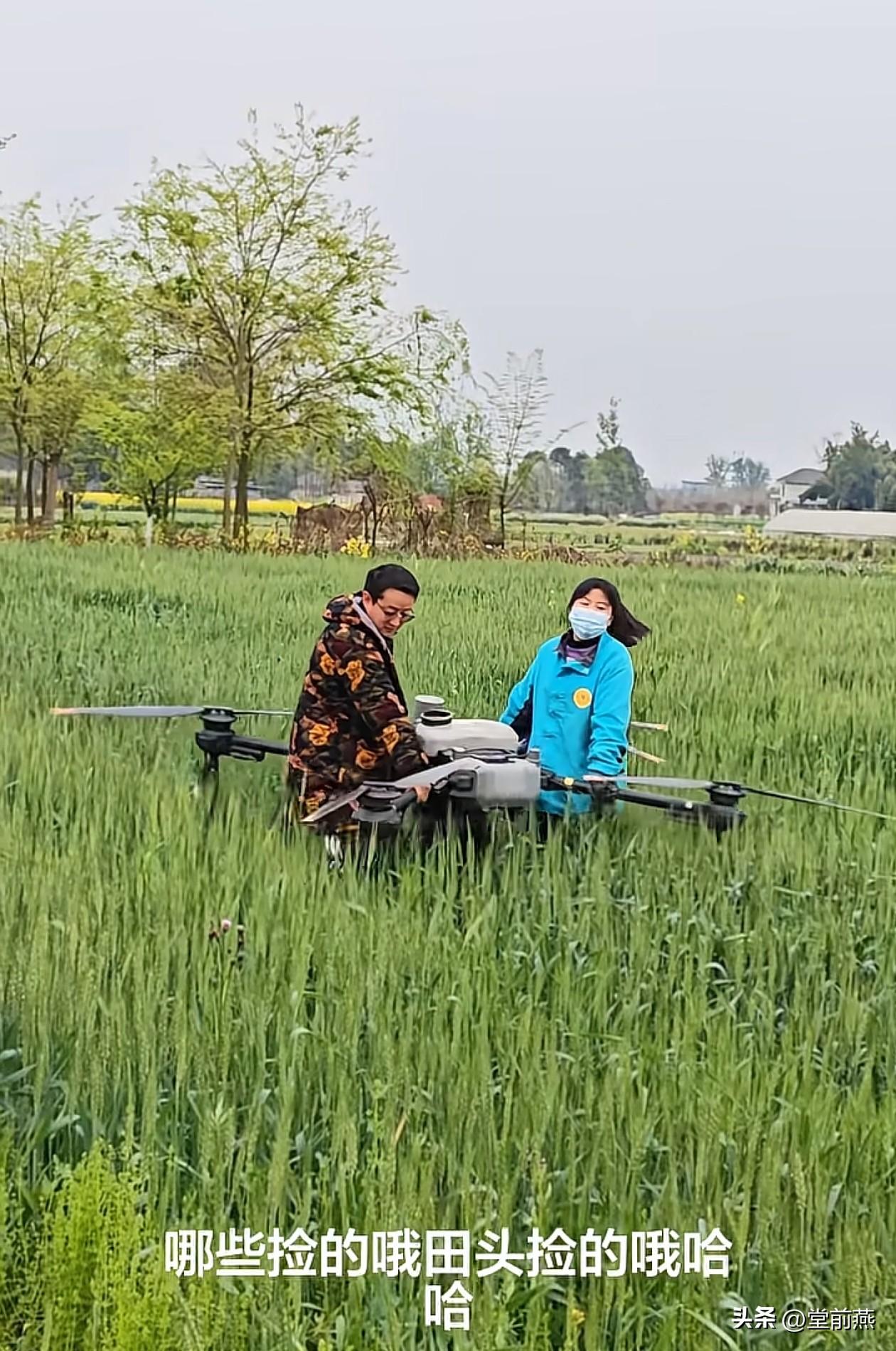 有免费打药的植保无人机掉下来了，居然没人来认领，领完晚上有些地方青壮年已经组队开