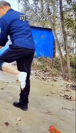 家人们快看这成精的公鸡！本以为是普通家鸡，原来是个模仿大师。