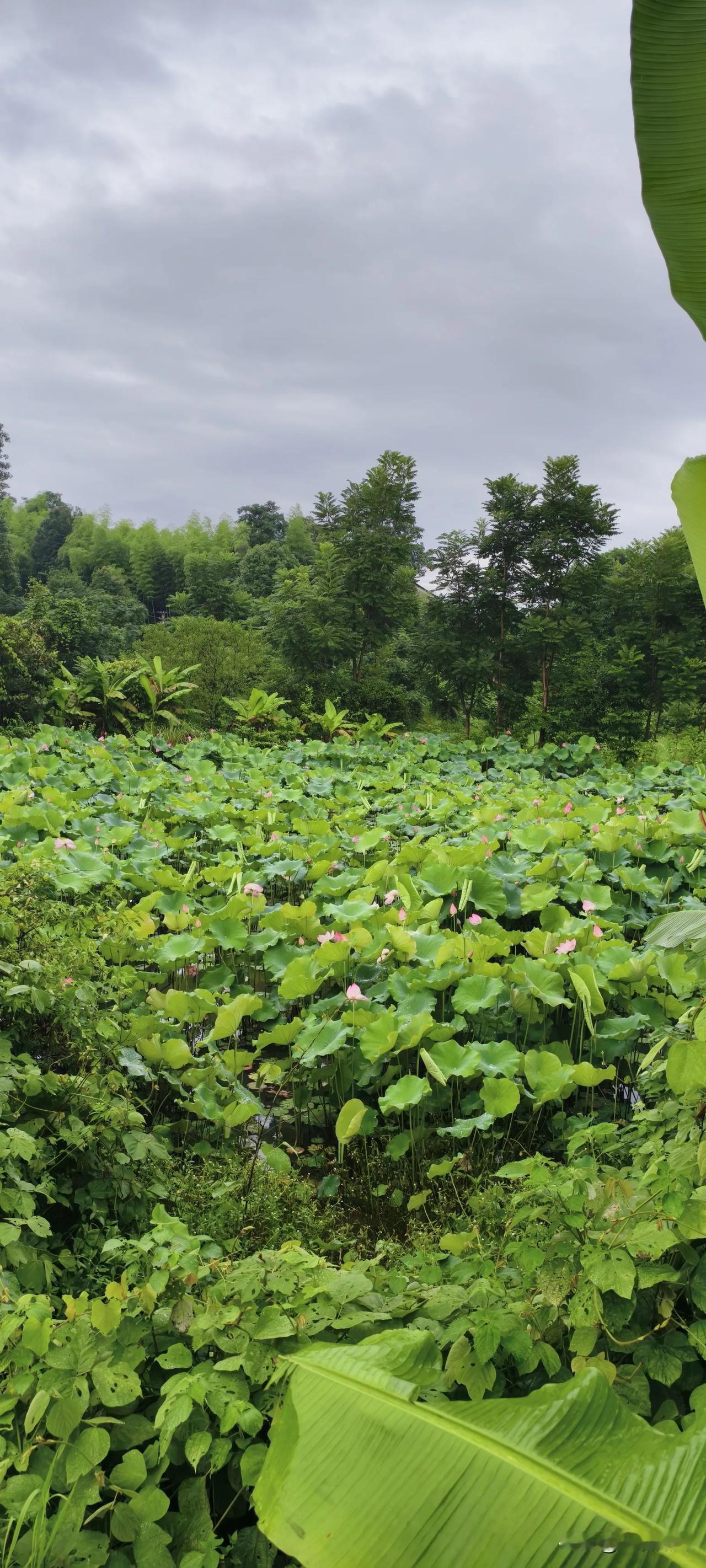 维权路有多难，估计只有经历过的人才懂。
同事住的小区旁边打算建一个垃圾站，小区业