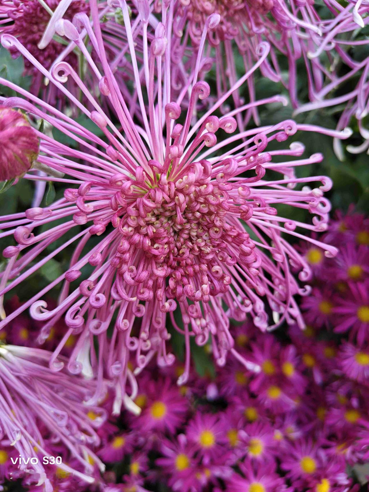 我的今日状态：😁轻松愉快
我这里的天气：☀️晴天