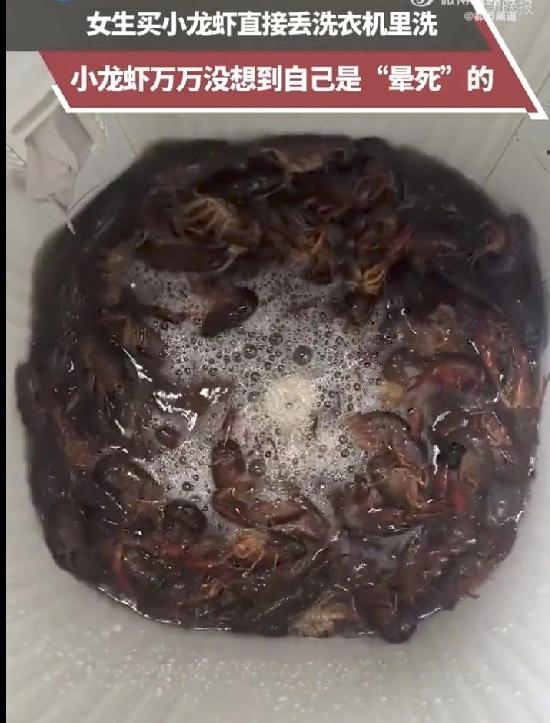 大家都喜欢吃小龙虾，但是大家也知道小龙虾很难洗，不但费时费力还费腰，但是总会有吃