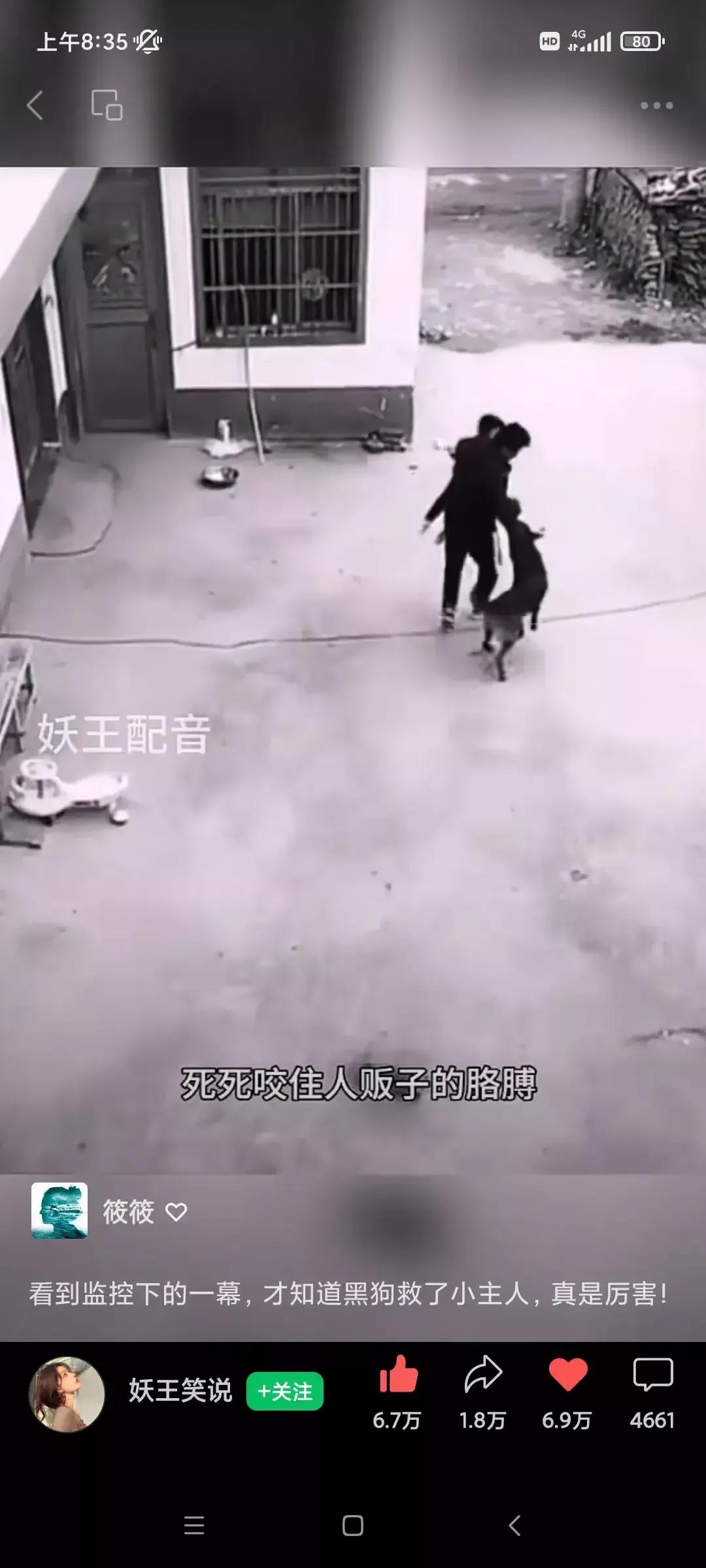 罗威纳咬人事件发生后，多地开始抓捕流浪狗和不牵绳的狗。咬人的狗安乐死支持。那无辜