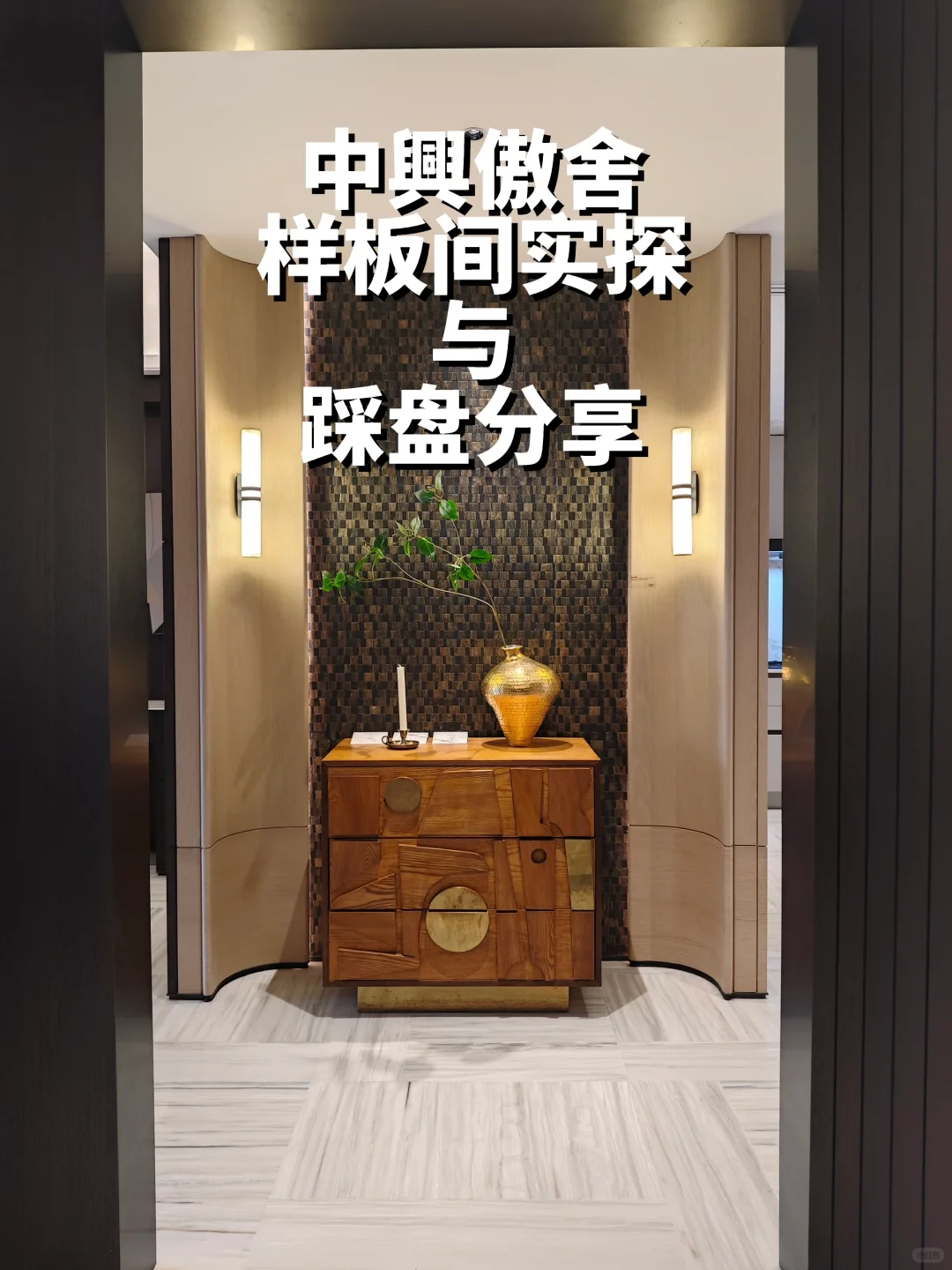 中興傲舍样板间实拍与踩盘信息分享