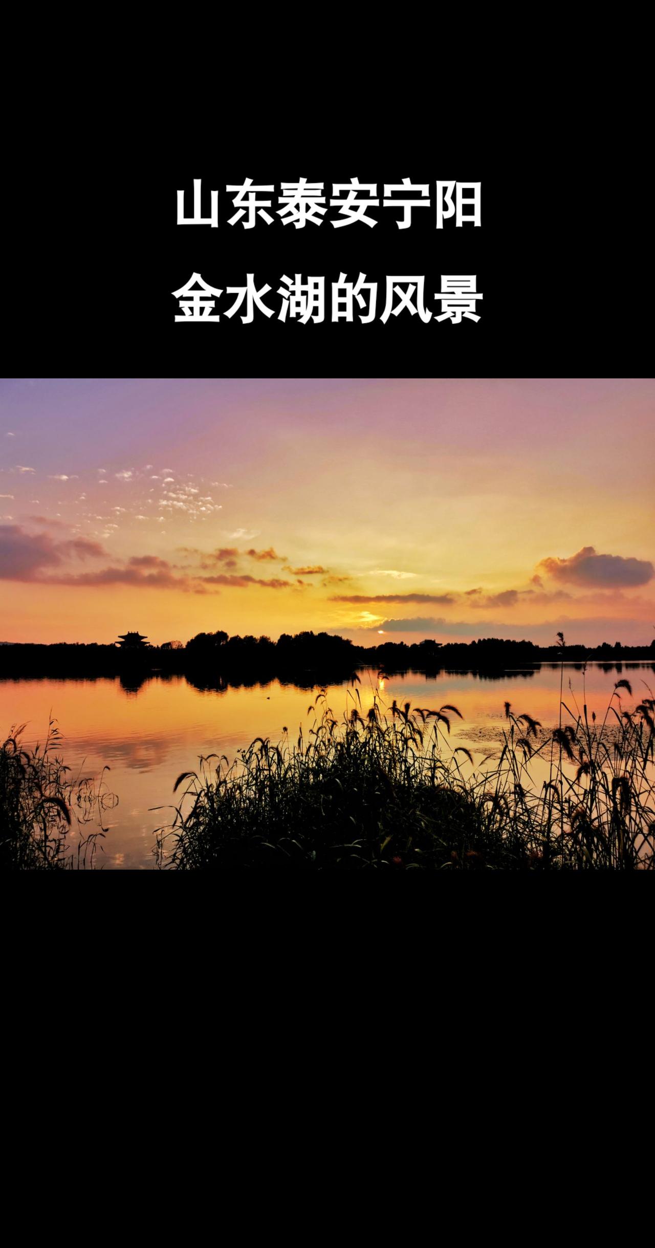 #风景#山东#宁阳#老家#故乡