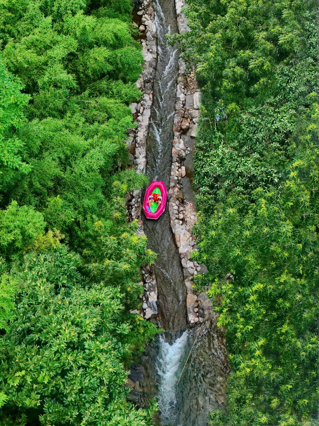 杭州自驾1h|竹林覆盖的漂流，不会被晒到❗