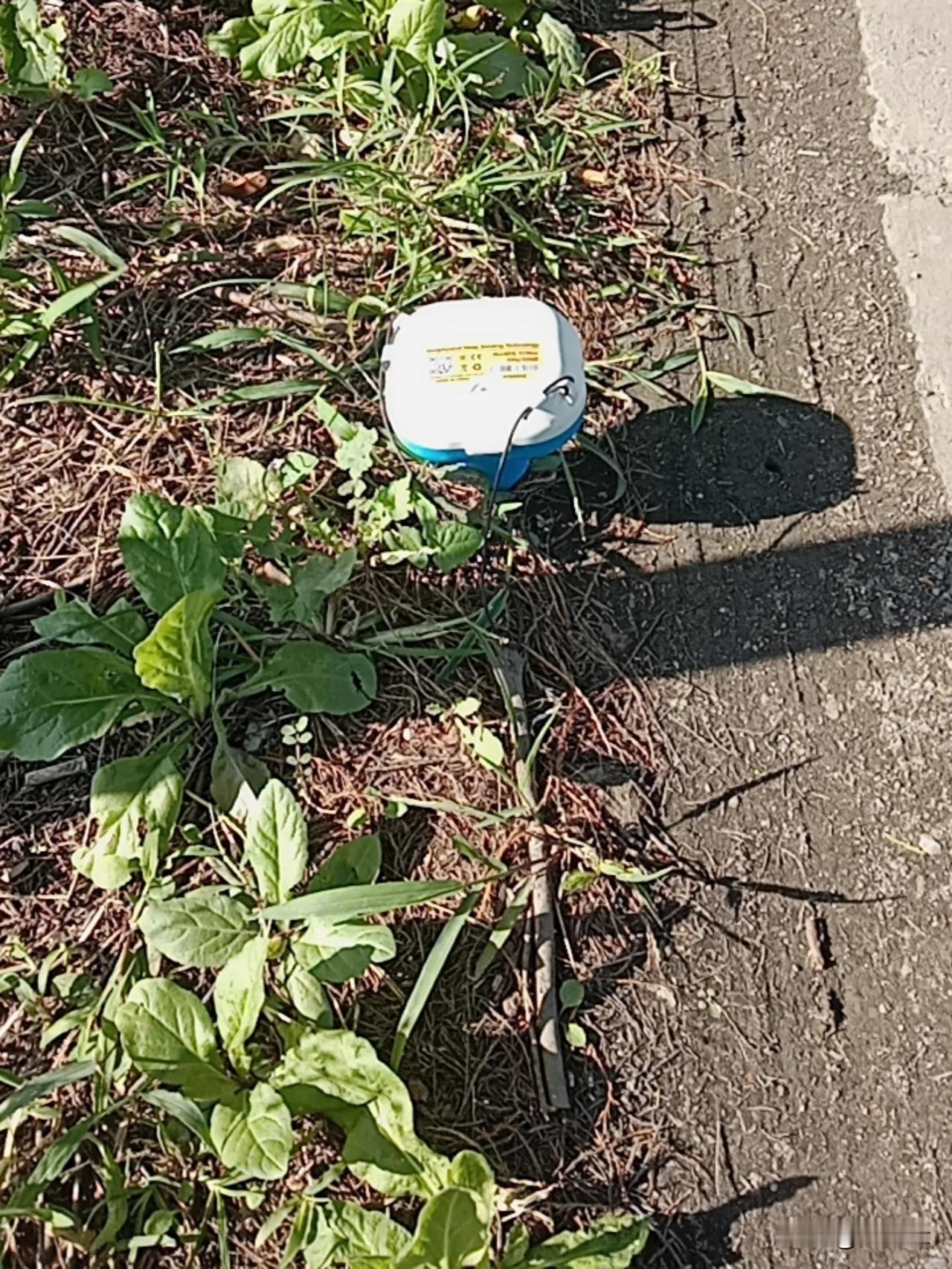 一大早出门开始慢跑了，
今天一早上海的天气比昨天暖和2度，
走到路上突然发现路边
