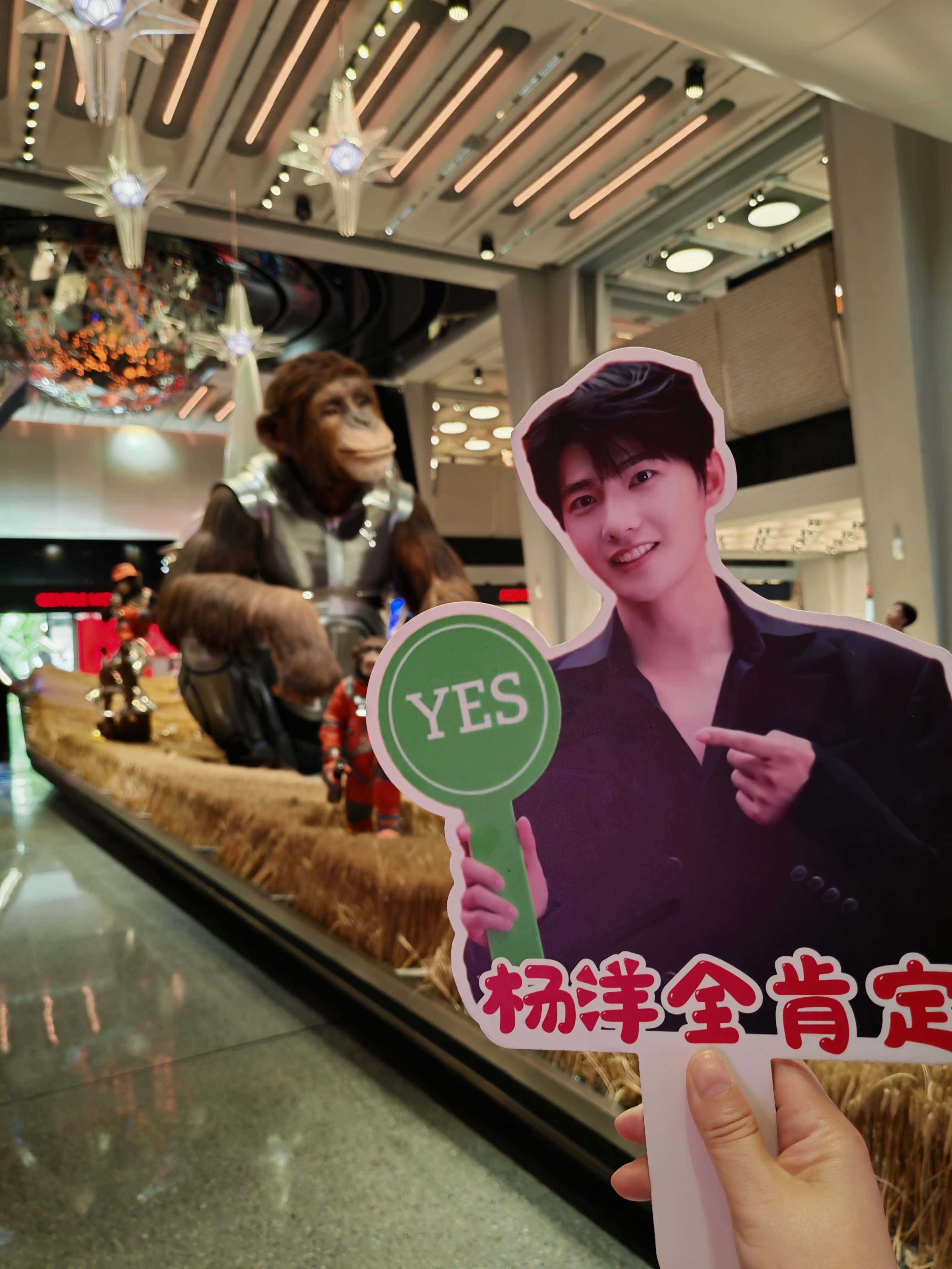 杨洋 只想说:人猴有别！ 