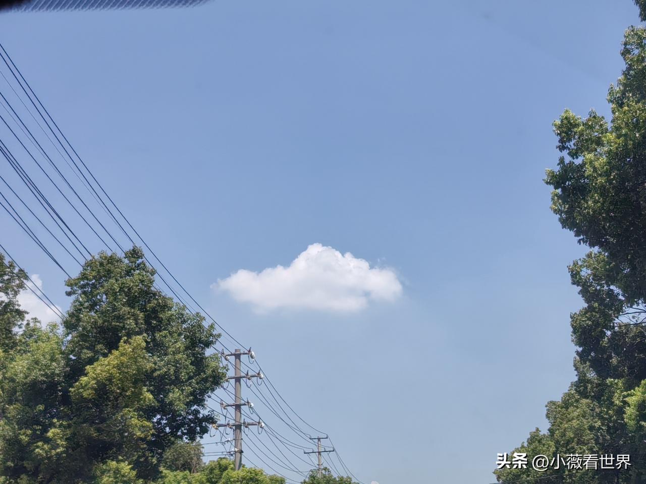 真是不听不知道，一听吓一跳。原来我们这里前几天遛狗不小心溺水死去的女人，今年也5