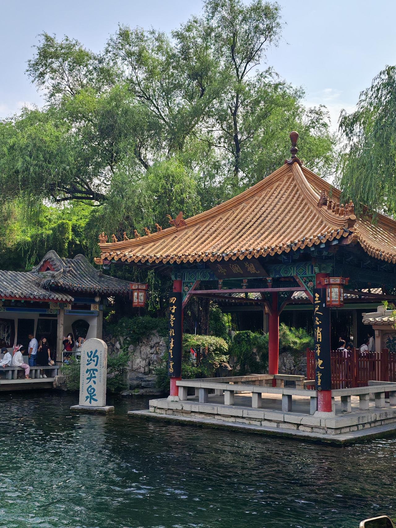 夏日风光随手拍 夏日来济南趵突泉风景区，那叫一个绝！一进景区，就能看到泉水咕噜咕