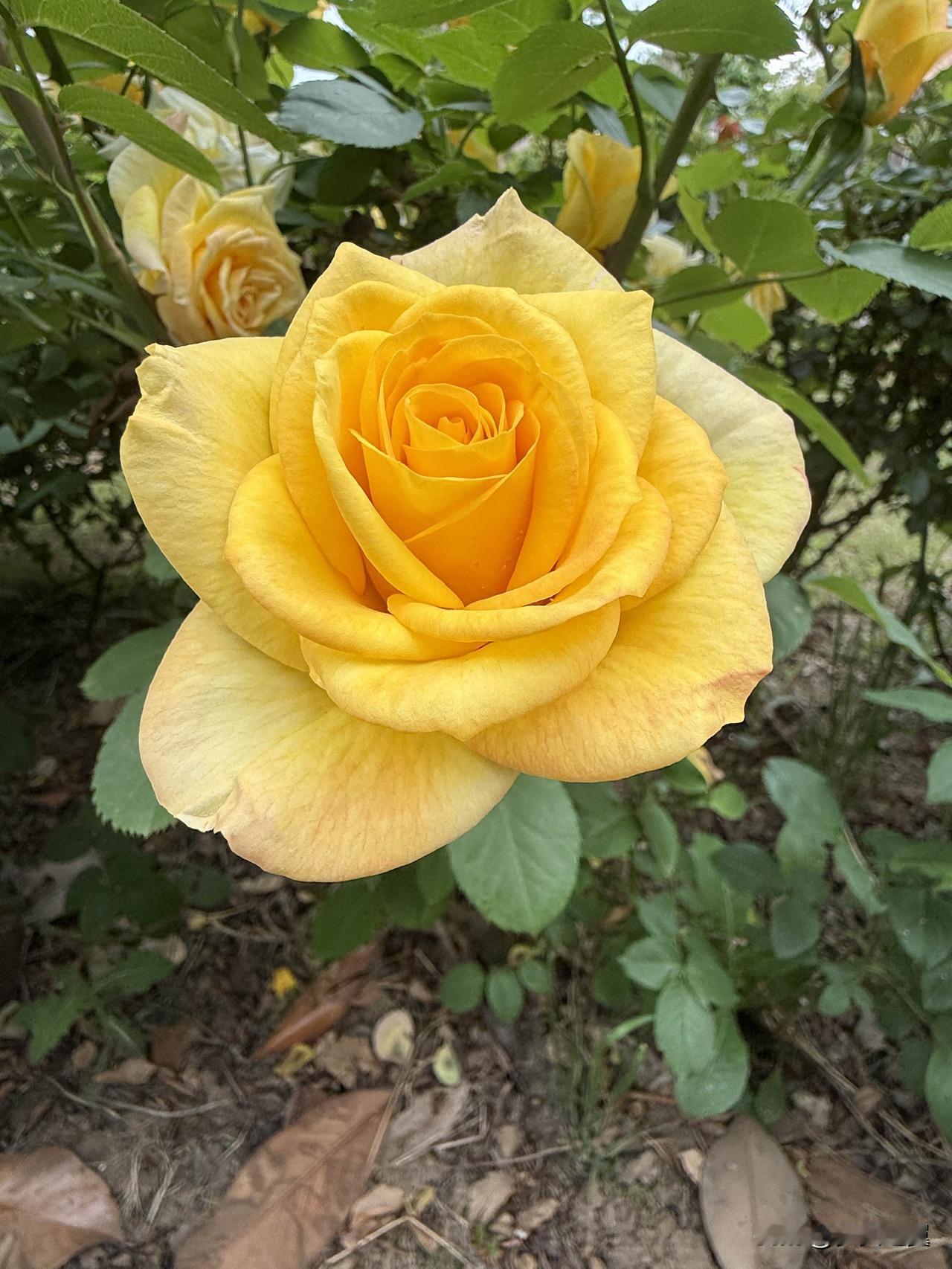 【小对联】
上：……？
下：价值观。