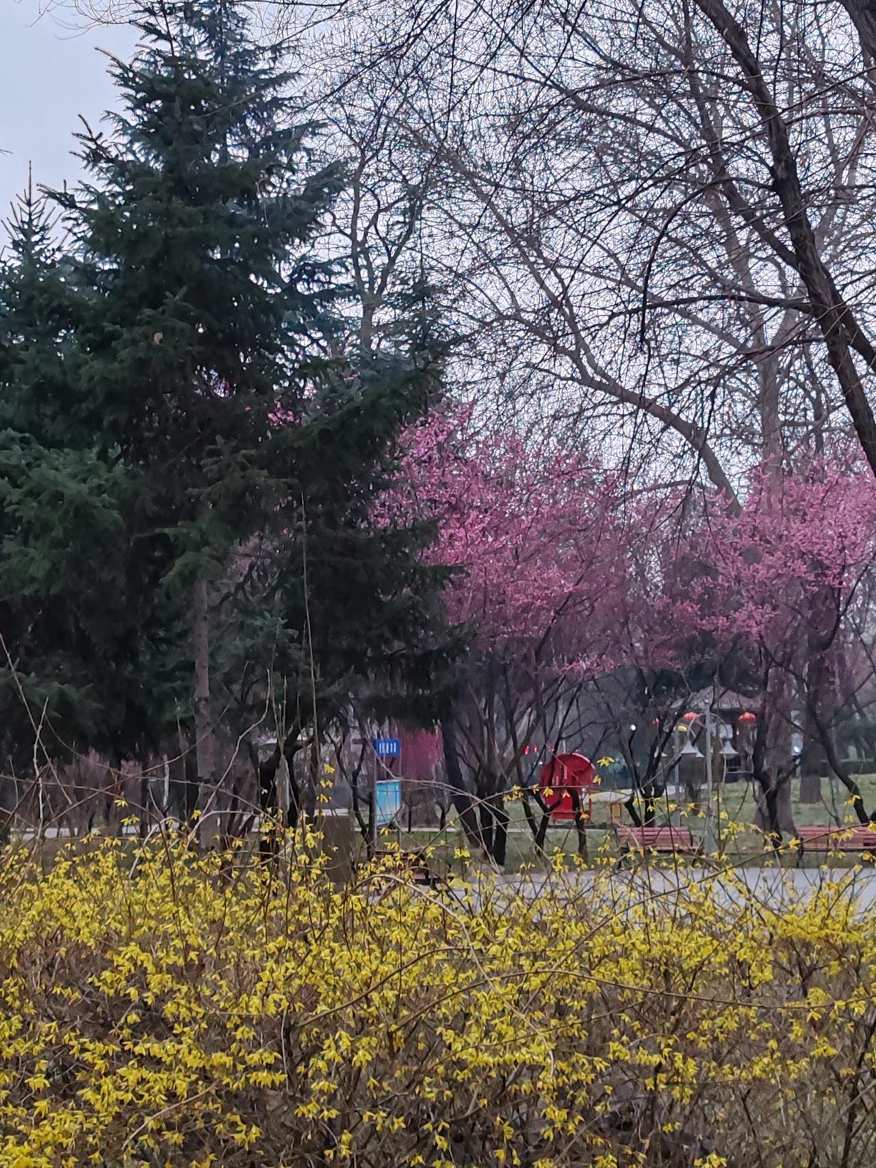 活面子的人讲排场，活里子的人讲实惠。活面子的人铺张，活里子的人节简。面子里子都要