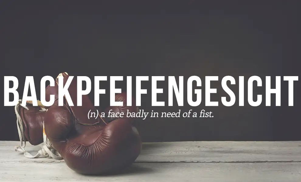 偶遇一个德语词：backpfeifengesicht，表示