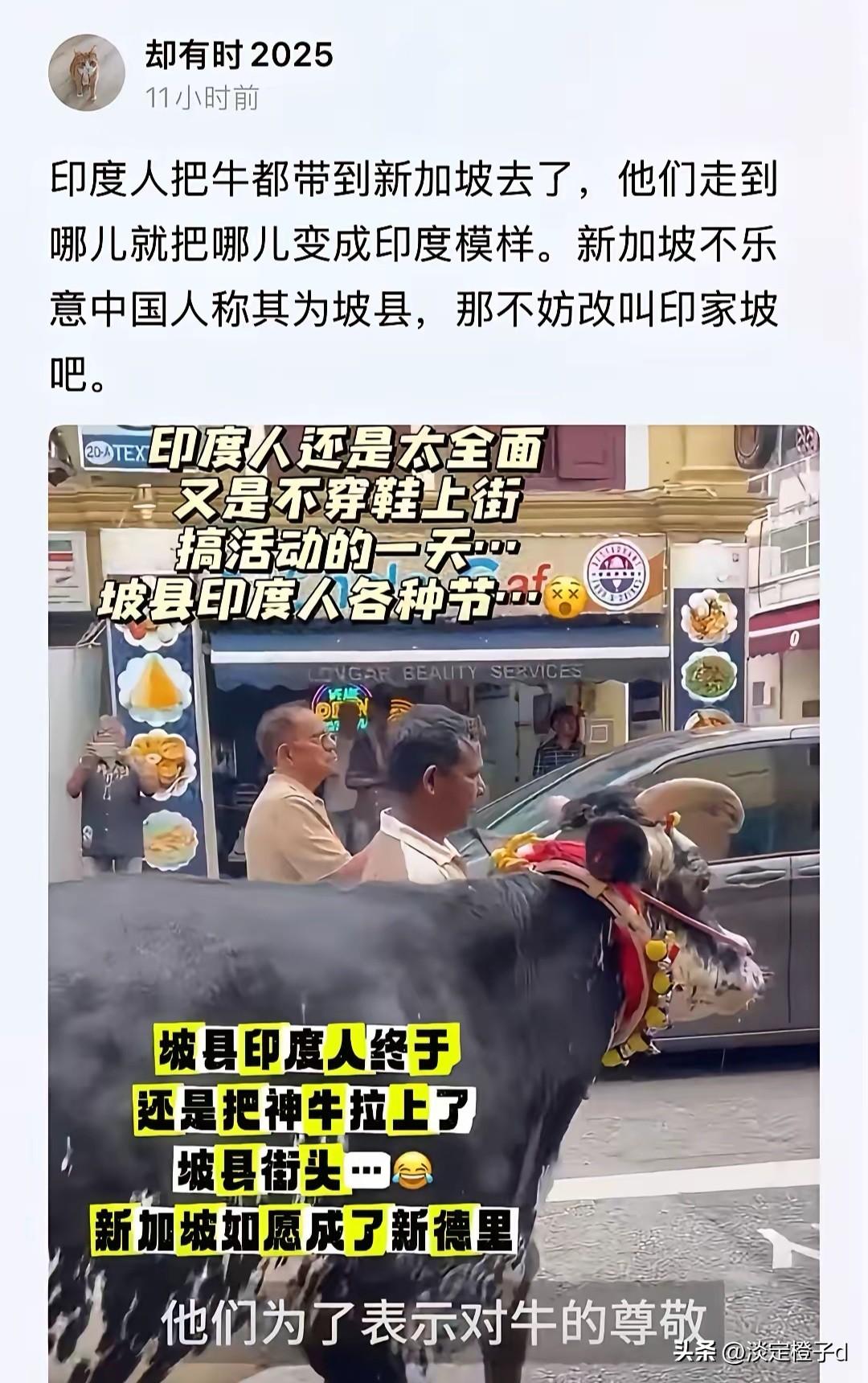 神牛上街！坡县变“印家坡”，新加坡多元文化藏隐忧
 
新加坡街头惊现神牛巡游，印