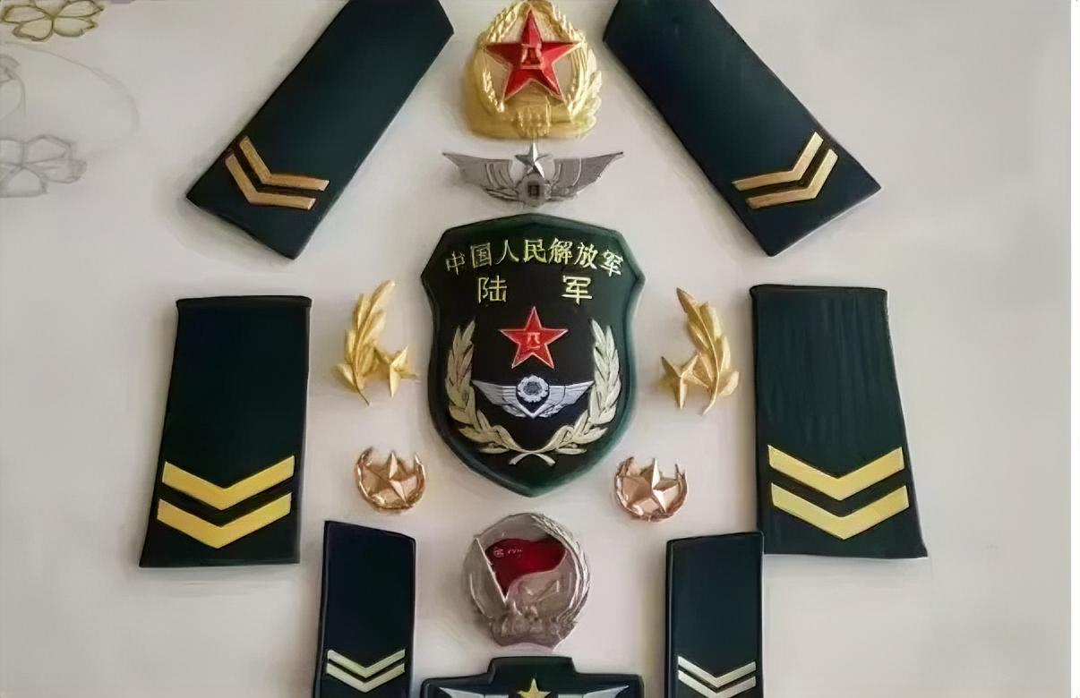 中国人民解放军陆军