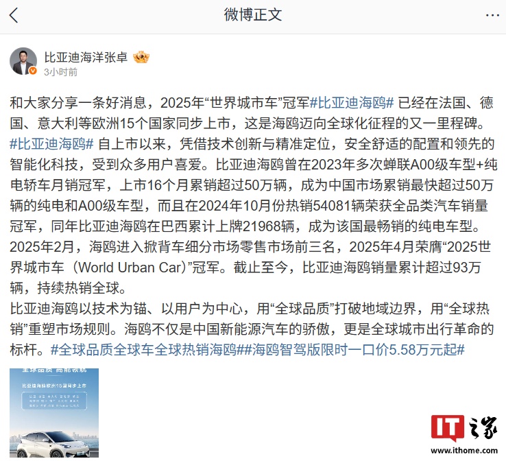 比亚迪海鸥在法国、德国、意大利等欧洲 15 个国家同步上市