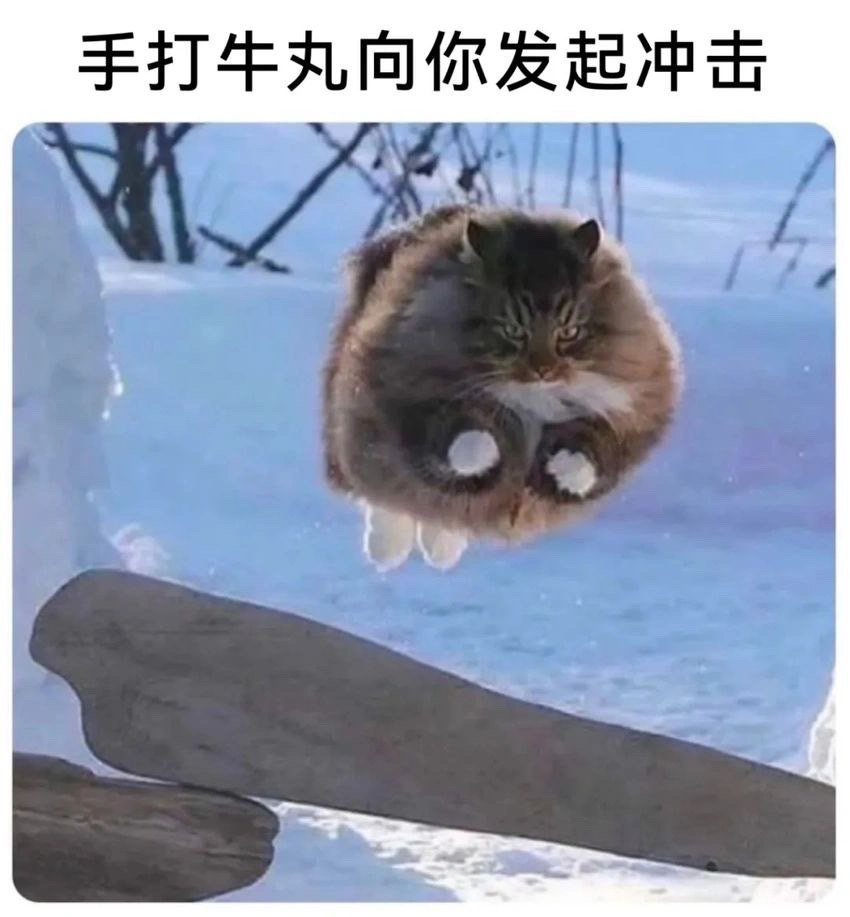 来了 ​​​