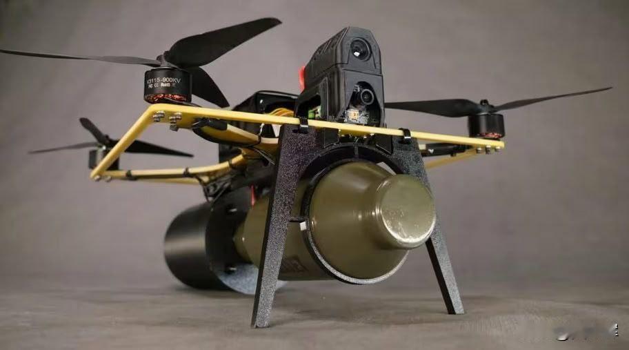 乌克兰科研生产中心“乌什库伊尼克”（Ushkuynik）总经理阿列克谢·恰达耶夫